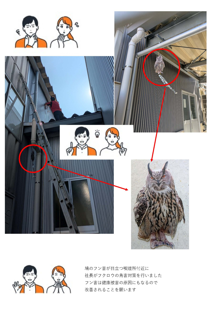 気温30℃越えの中、社長が鳩対策！！